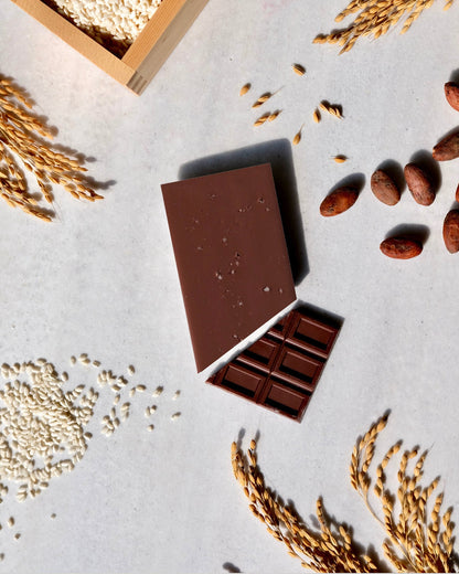 能登塩 麹ダークチョコレート ~発酵 HAKKO~